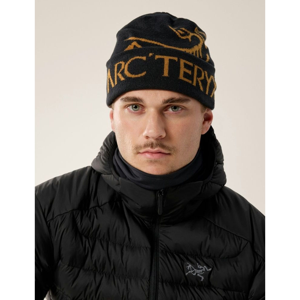 Arc'teryx Bird Word Toque The Gorpcore Winter Essential